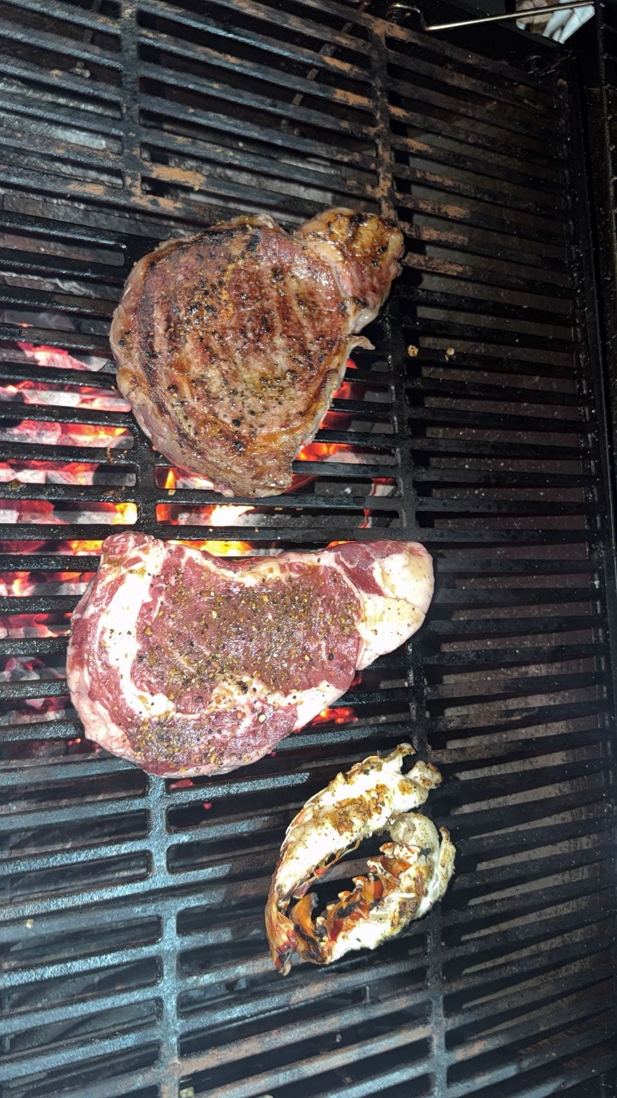 Fish and meat searing on an open grill